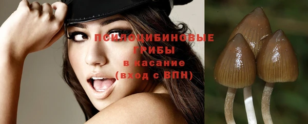 прущая мука Абинск