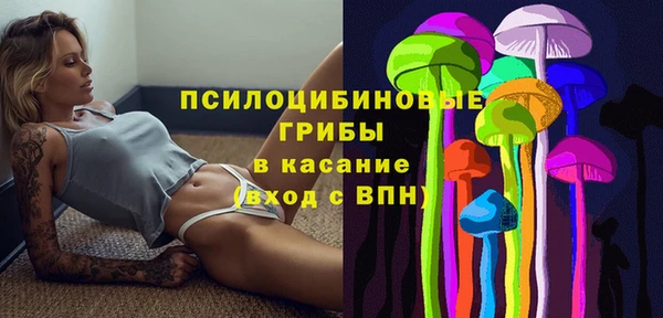 сатива Абдулино