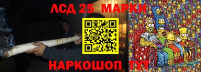 стафф Камышлов