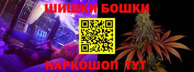 стафф Камышлов