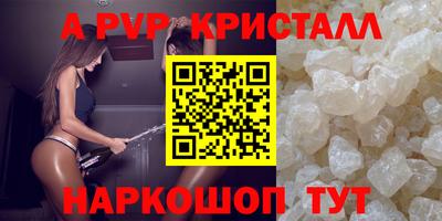 стафф Камышлов