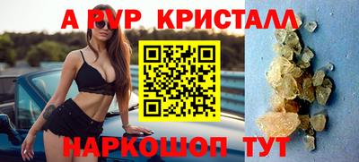 стафф Камышлов