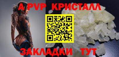 стафф Камышлов