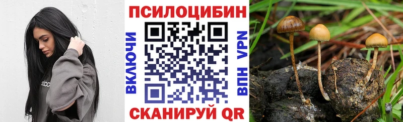Галлюциногенные грибы GOLDEN TEACHER Советск