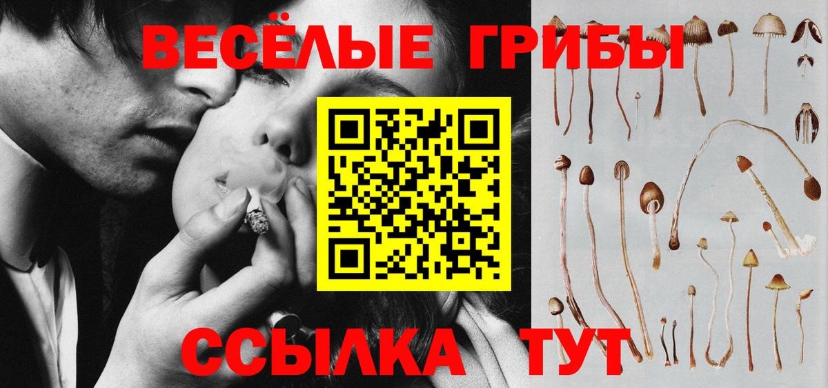Псилоцибиновые грибы GOLDEN TEACHER Советск