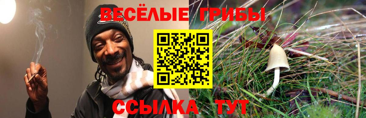 Галлюциногенные грибы прущие грибы  Псилоцибиновые грибы мухоморы  Советск  Вход с VPN 